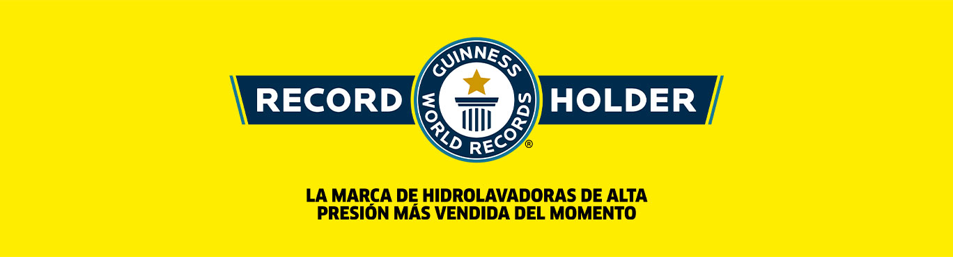 RECORD GUINESS