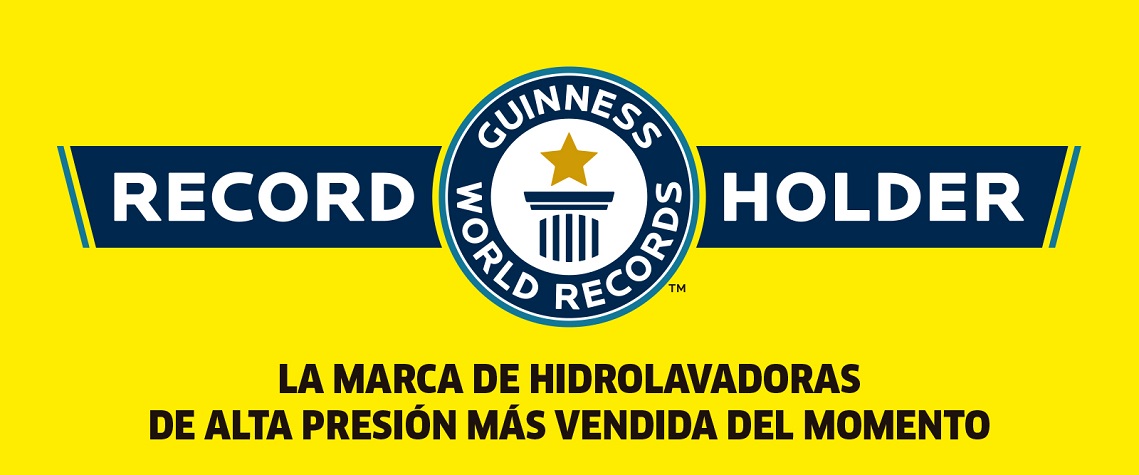RECORD GUINESS
